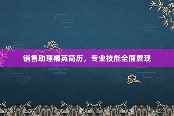 销售助理精英简历，专业技能全面展现